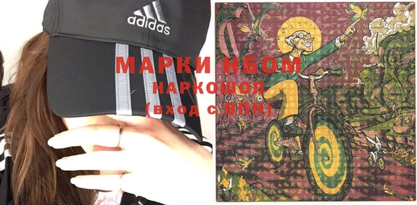 гидра Алексин