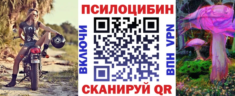 сколько стоит  Кинель  Псилоцибиновые грибы Cubensis 