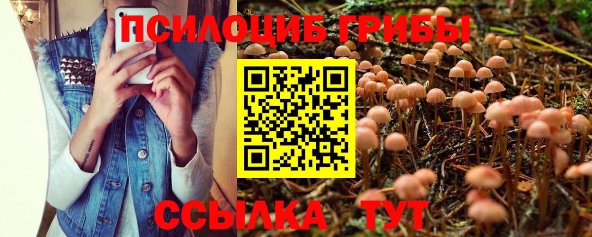 Кинель  Галлюциногенные грибы Cubensis  Псилоцибиновые грибы Magic Shrooms  Вход с VPN 